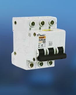 YLM63-63小型斷路器